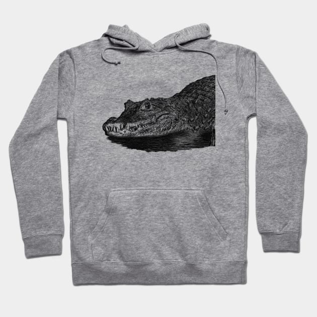 Dwarf crocodile Hoodie by Guardi